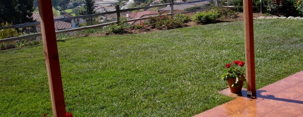Affordable outdoor patio II
